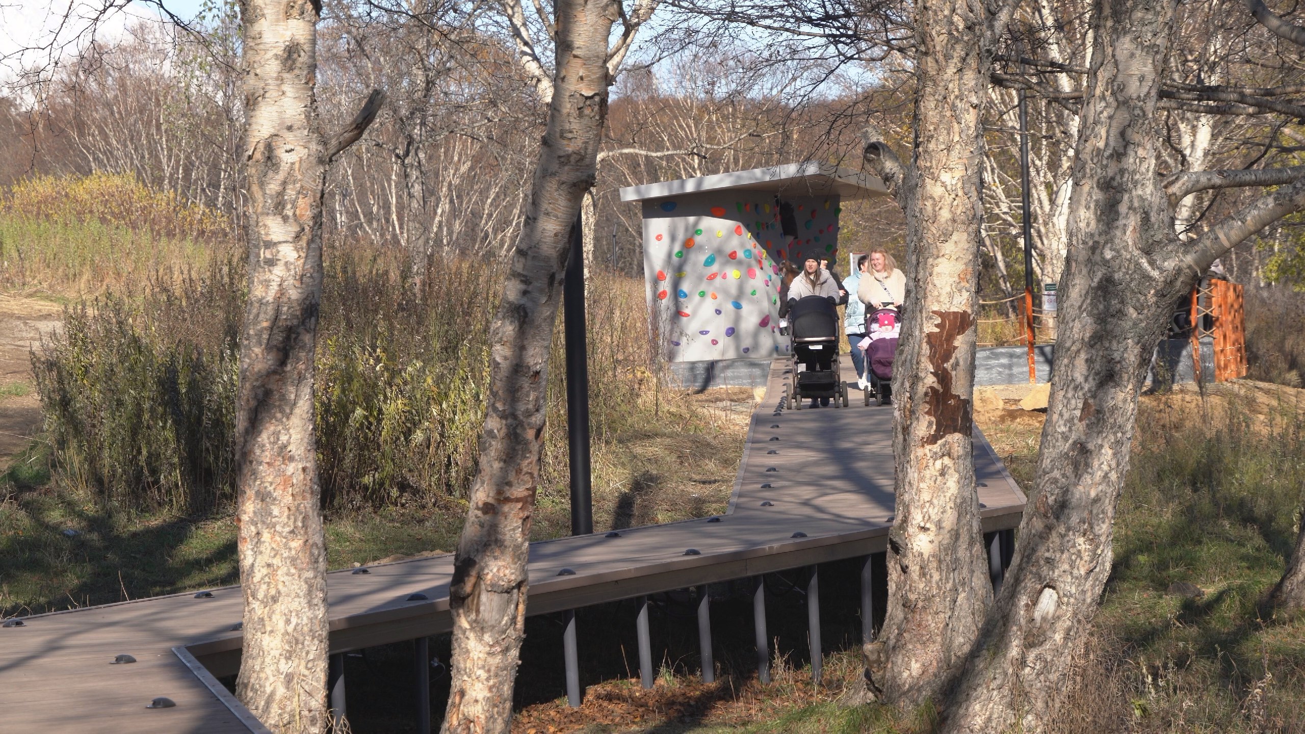 Всего в проекте приняли участие 19 населенных пунктов, включая отдаленные, такие как Палана, Тигиль и Тиличики