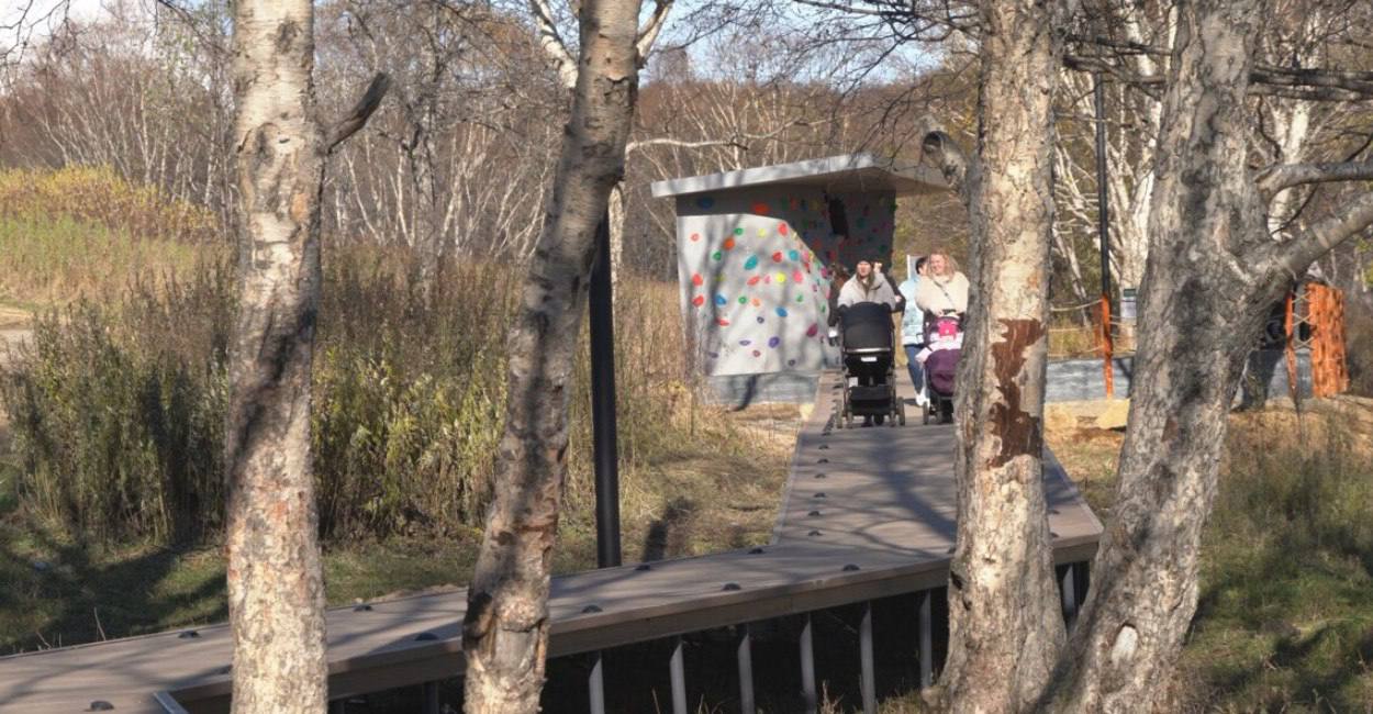 На Камчатке преобразили 45 общественных и дворовых территорий На Камчатке преобразили 45 общественных и дворовых территорий