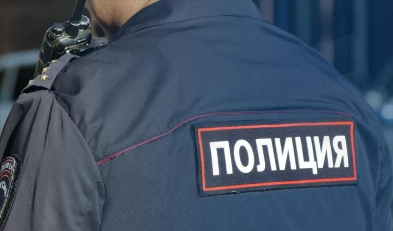 «Собачий беспредел» расследуют камчатские полицейские