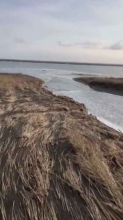 "������� - ������� ��������, ��� � 2-3 ���������� �� ������ "������� ������" �� ����������� ���� ���������� ����