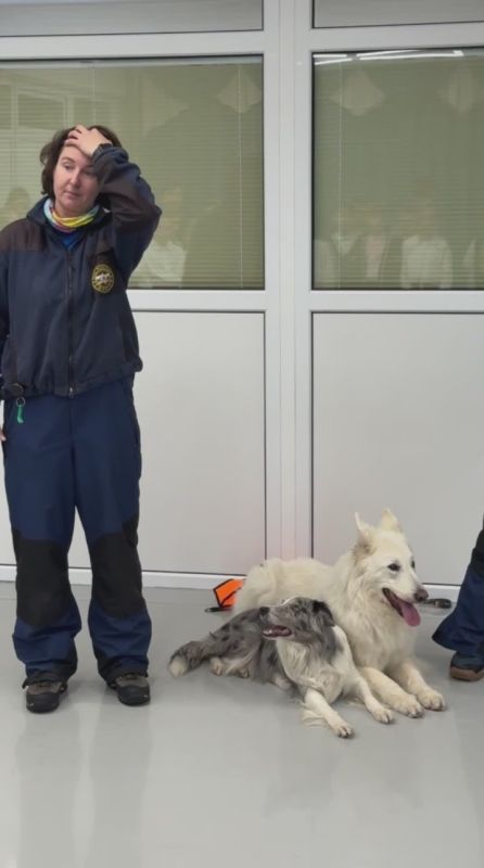 "Спасибо, что приехали к нам в гости!" - Камчатский центр образования поблагодарил камчатских кинологов МЧС России за визит к их воспитанникам и снял трогательный ролик о пребывании поисковых собак в своем учреждении