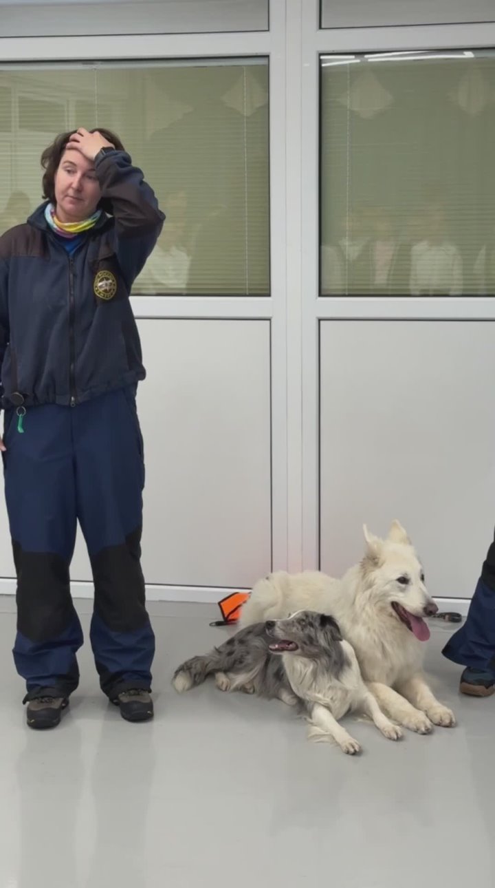 "Спасибо, что приехали к нам в гости!" - Камчатский центр образования поблагодарил камчатских кинологов МЧС России за визит к их воспитанникам и снял трогательный ролик о пребывании поисковых собак в своем учреждении
