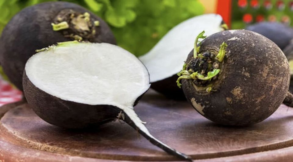 Советы по сбору и хранению черной зимней редьки: как сохранить вкус до весны