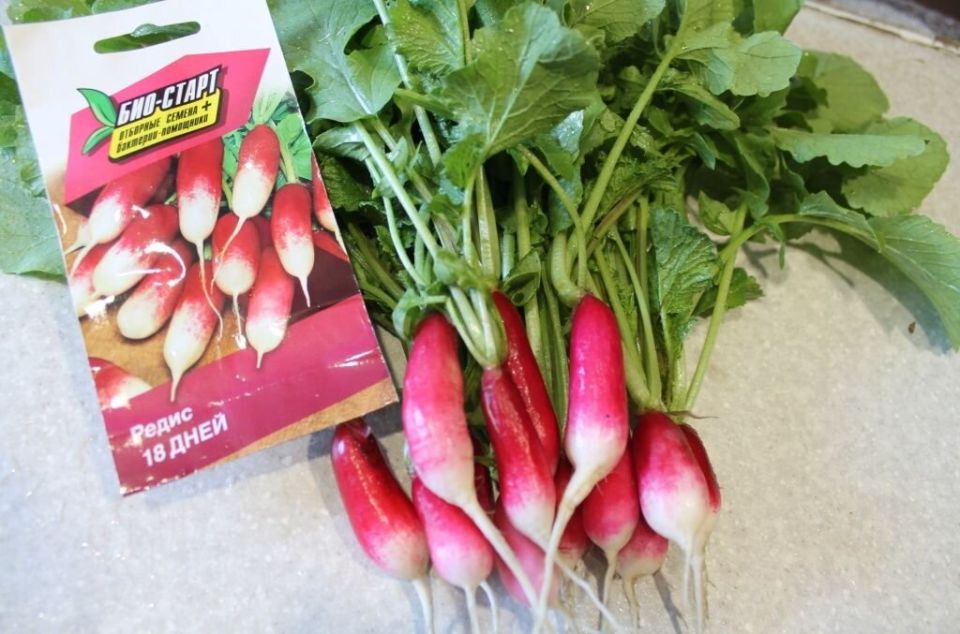 ������� ��������� ����������� ������: 18 ���� �� ������