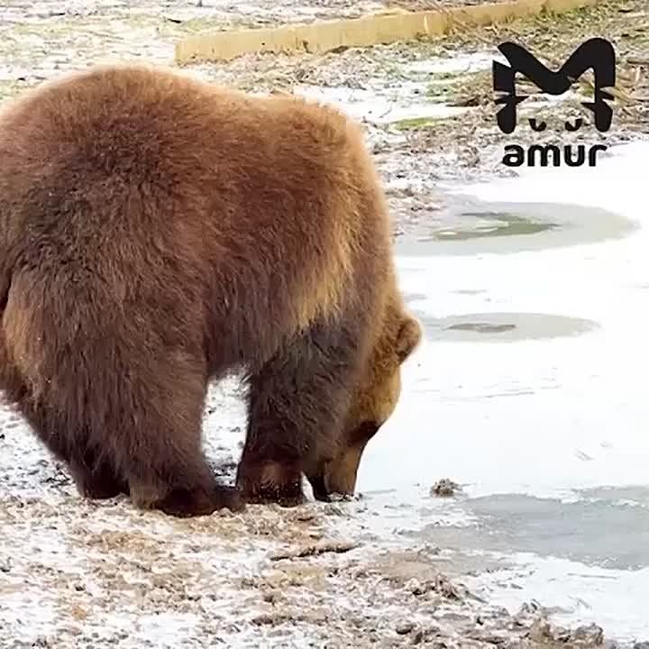 ����������� ��������� � �������� ������������� �� ������� ������� � ����������� � ��������� ����� ������ ����