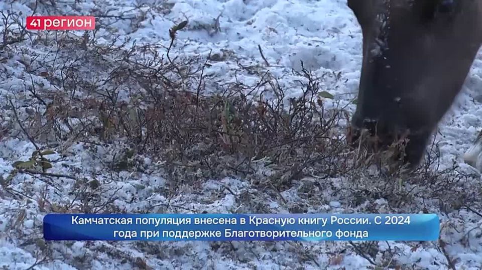 �������� �������� ����� �������� ������ ���������� ����������� � ������ ���������