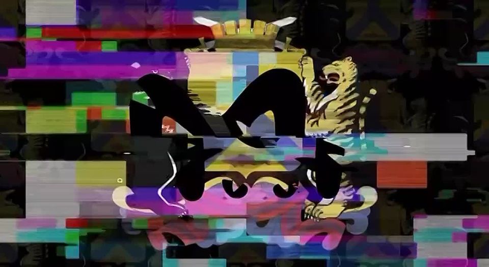 Мёртвого японского кита нашли на берегу Камчатки