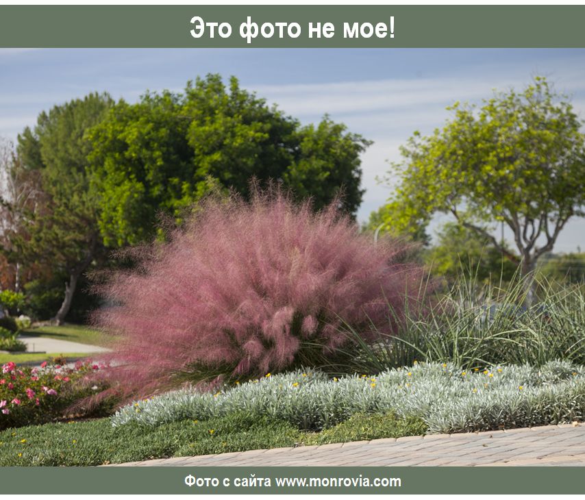 ������ ������������ �� ��� �������� �����: ������������ ��� ������ �������