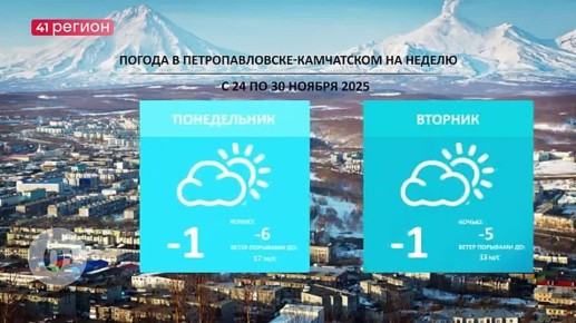   -    ( 24.11  30.11)