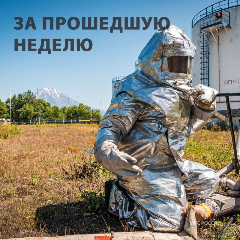 За период с 17 по 23 ноября: