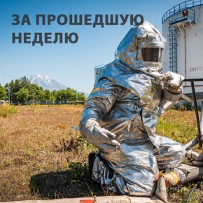 За период с 17 по 23 ноября: