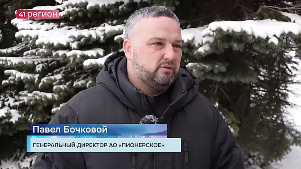 На камчатской птицефабрике «Пионерское» восстановили производственные мощности до 200 тысяч яиц в сутки