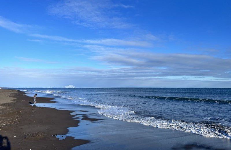 Полигон Радыгина закроют для посещений по будням