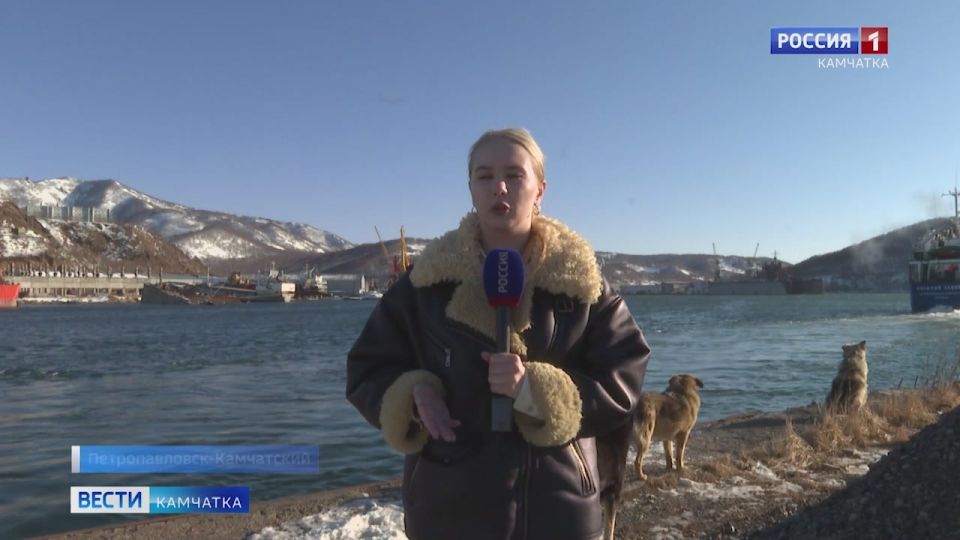 ������ ���� ���������� ������ ����� ������� ����������� ��������