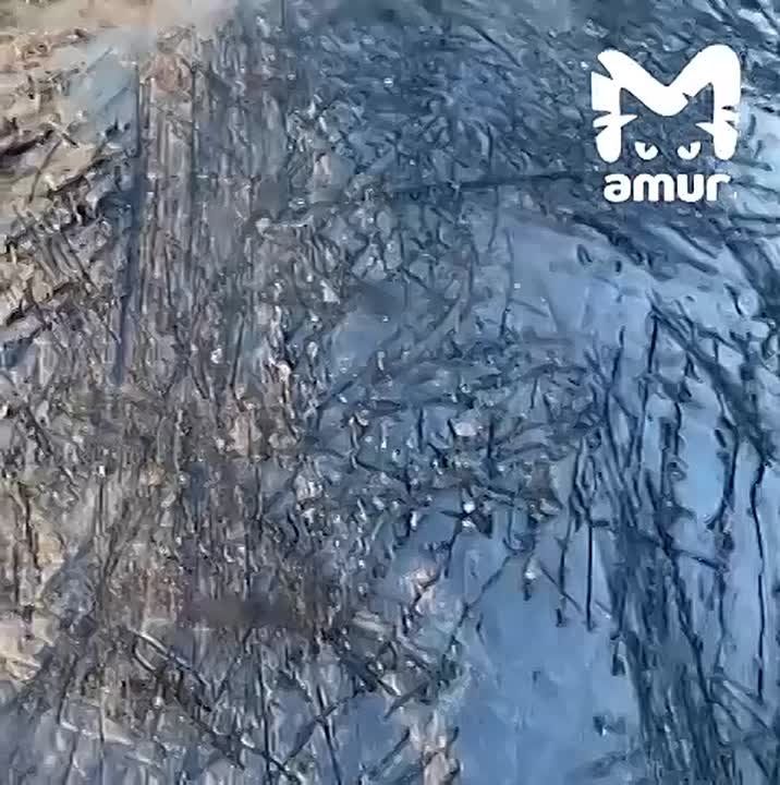 ����� ������ ��� ������� ���-��� �������� �� ��������