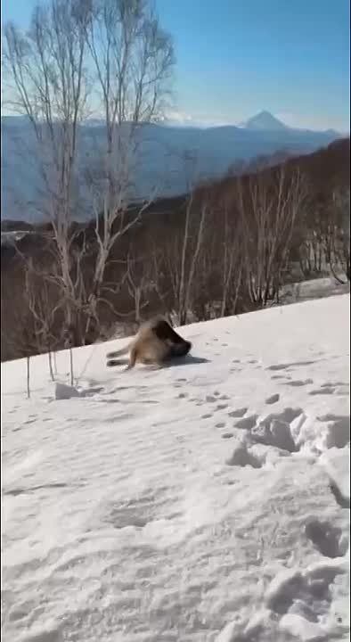 Видео дня - главное , уметь нахрдить то, чему радоваться !