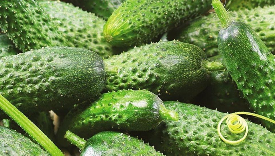 6 ������ �������� ������� ��� ��������� ������