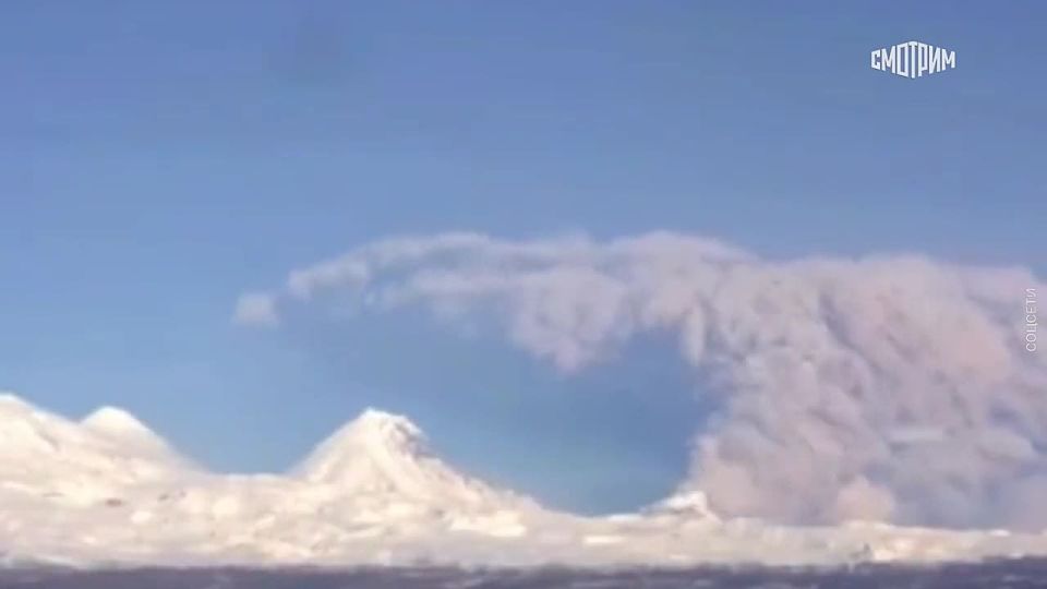 ������ ���������� �� �������� �������� ����� ����� �� ������ 10 ���������� ��� ������� ����, �������� ���������� ������ ������������