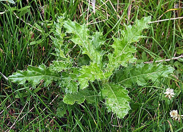 ����������� ������� ������ � �������������� ���������� �� ����� ������ �������