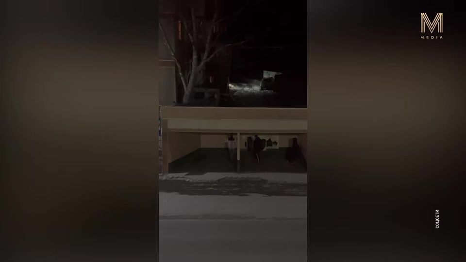 Психология вандала. Десятки уголовных дел по статье «Вандализм» впервые возбудили в этом году на Камчатке из-за разбитых остановок общественного транспорта