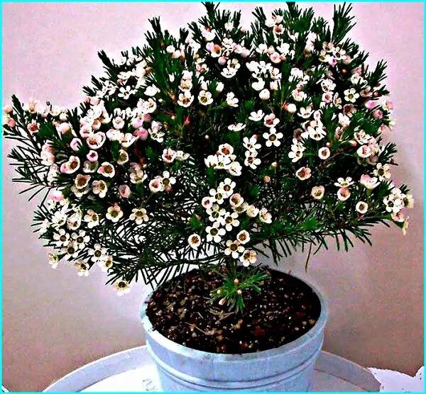 ����������: ��� �������� ������ ����������� ������ ��������� � ���������