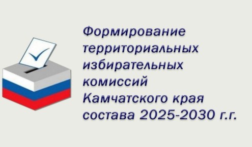 Сформированы составы территориальных избирательных комиссий Камчатского края