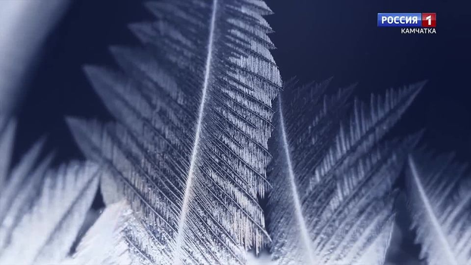 Какая камчатцев ждет погода завтра, в пятницу, 28 ноября?