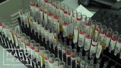 Акция, приуроченная ко Всемирному дню борьбы с ВИЧ, пройдёт на Камчатке