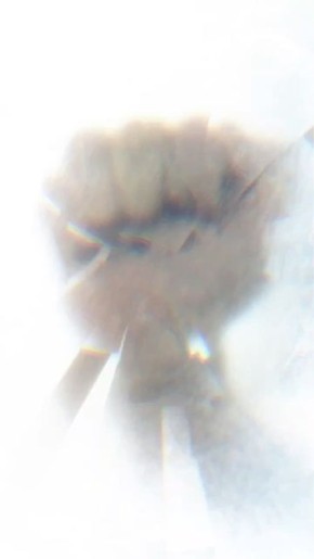 Растопим серые будни хорошим настроением и любимыми хитами