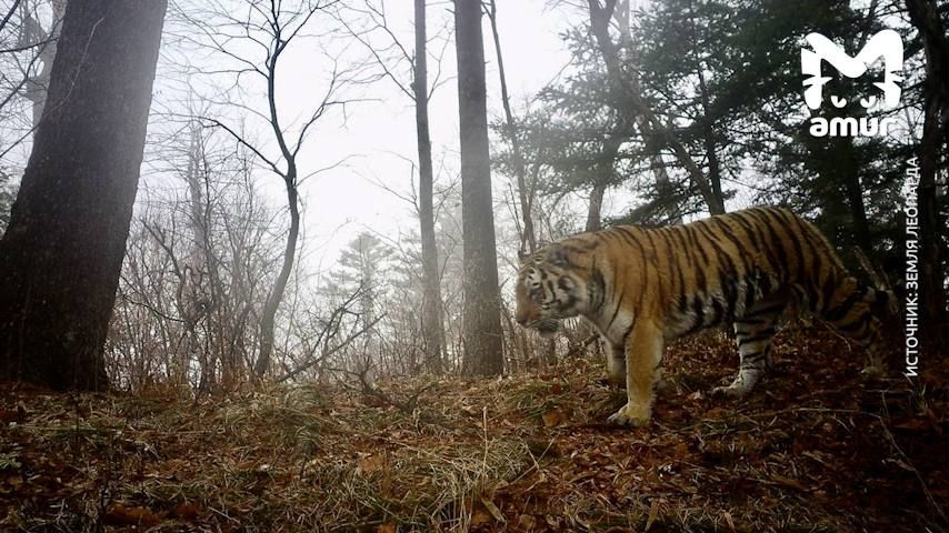 �������� ���� ����� �� ������ ����� � ����� � �������� ��������� ����������� � ���������� ��������