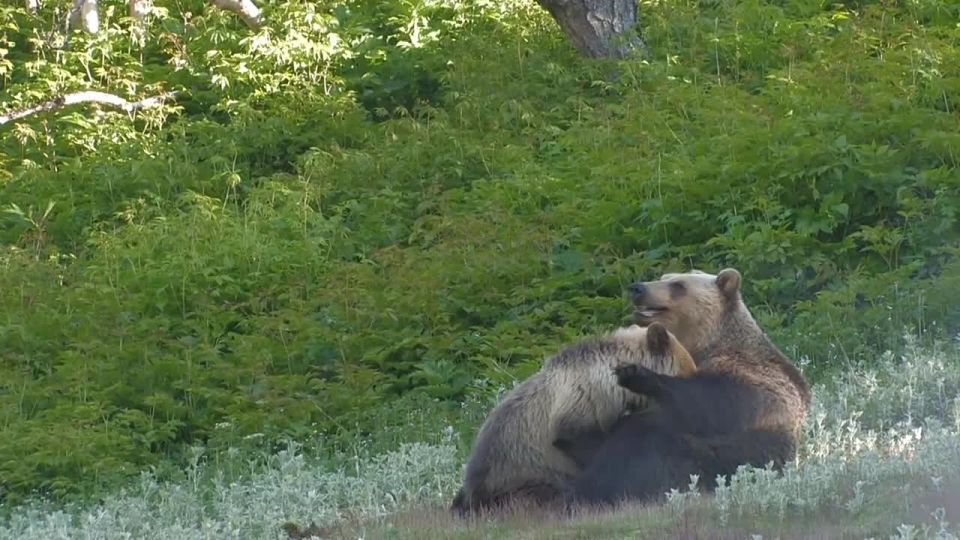 ���� � � � ����, � � ���� � ����!