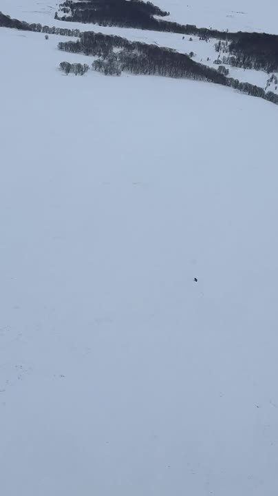 �� �������� ��� �� ��� ������� ���� � ������