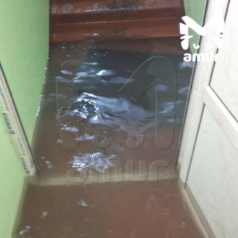 Подъезды топит талой и дождевой водой из-за циклона на Камчатке Подъезды топит талой и дождевой водой из-за циклона на Камчатке