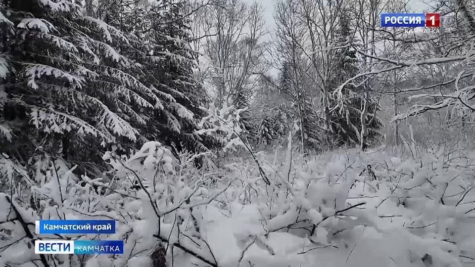 �� ����������� ���������� �������� �� ������ �������� ����������� ������