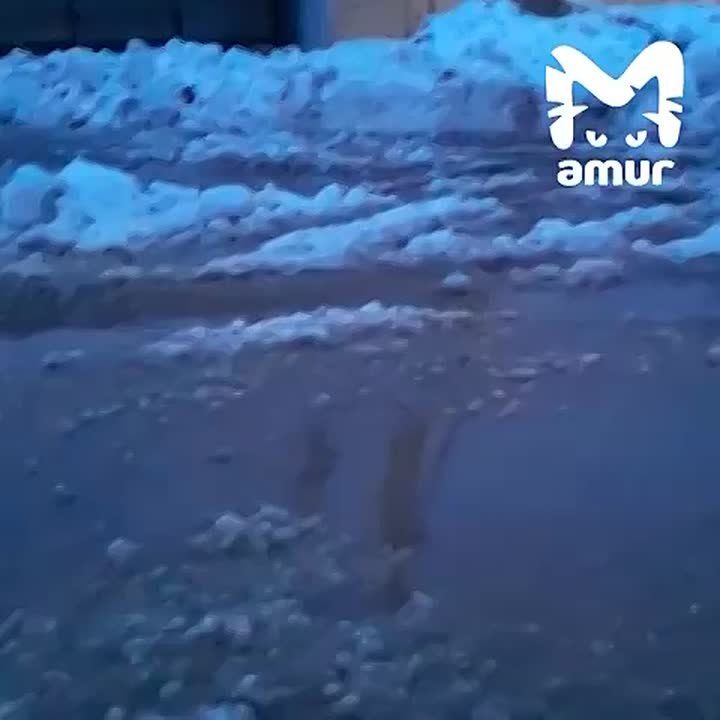 "Воды по колено!". Центр Петропавловска-Камчатского утонул после снегопада с дождем