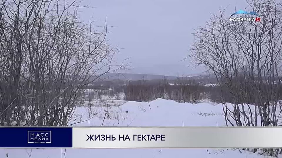 Жизнь на гектаре. Как с помощью государственной программы можно развивать свой бизнес? Смотрите в материале Ангелины Джуган