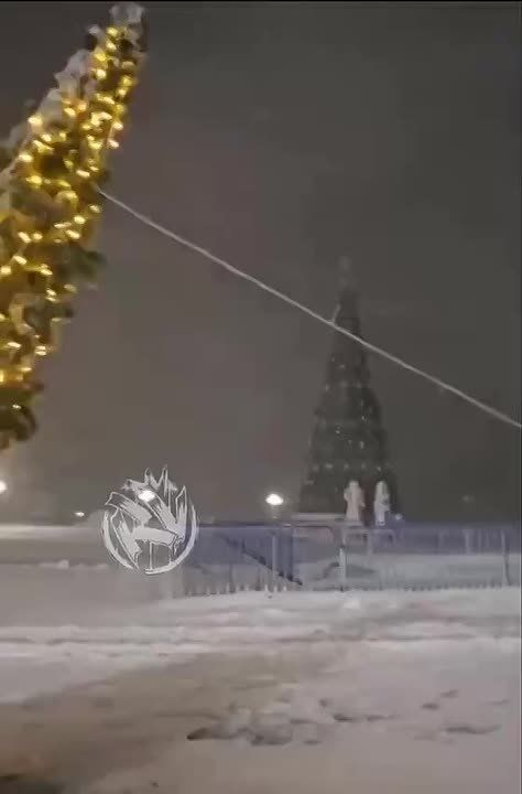 Украшенную ёлку едва не унесло сильным ветром в Петропавловске-Камчатском