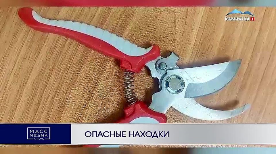 Опасные находки. Металлоискатели в здании суда ежедневно фиксируют десятки попыток пронести внутрь опасные предметы