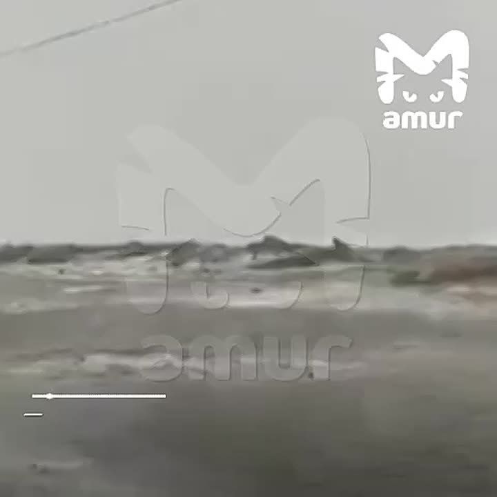 "Про такое мне только родители рассказывали, помощи нет!"