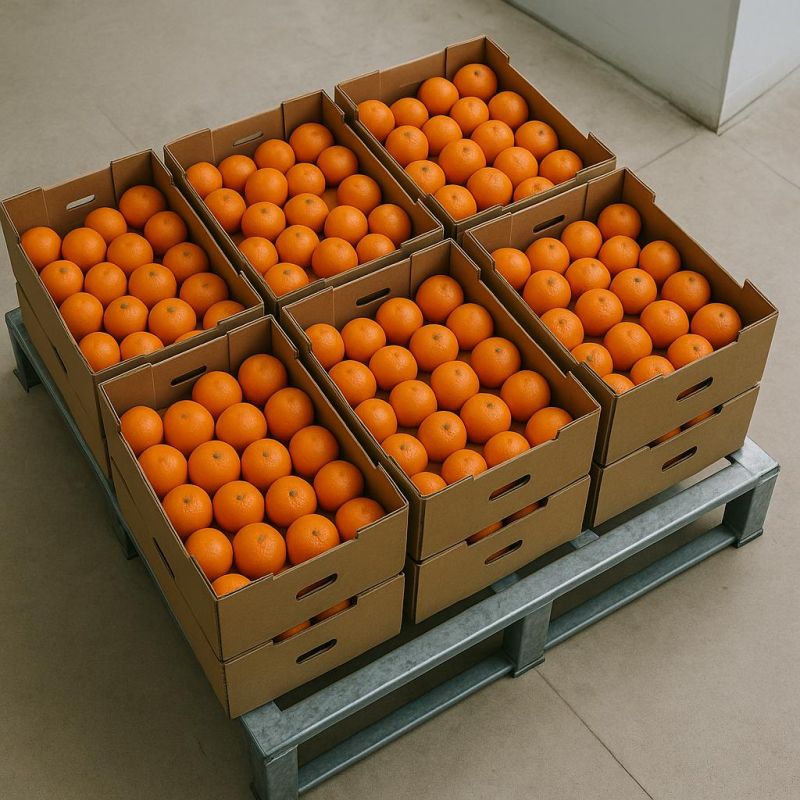 Поставки китайских мандаринов на Камчатку выросли более чем в полтора раза