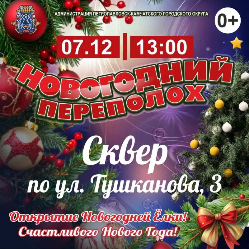 График открытия новогодних ёлок в Петропавловске-Камчатском изменили из-за плохой погоды