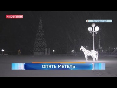 Новости Камчатки за 08 декабря 2025 года