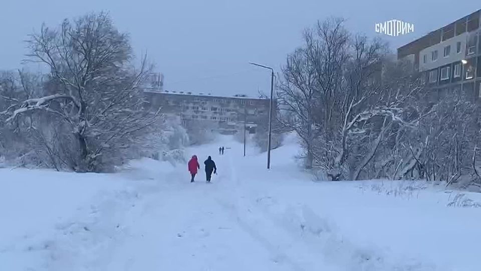 "Уважаемые мужики, давайте выйдем, толкнем автобус": на Камчатку обрушился сильный снегопад