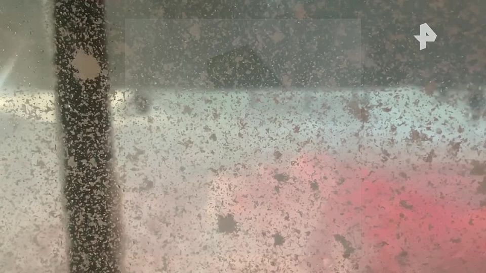 "Товарищи мужики, давайте толкнем автобус!": непогода обрушилась на Петропавловск-Камчатский, осложнив ситуацию на дорогах