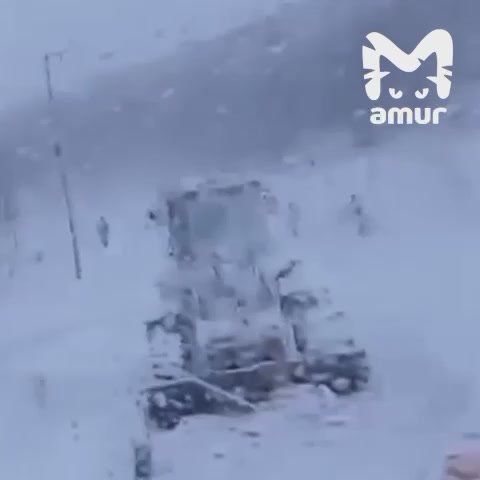 "Дорог нет, люди пешком ходят"