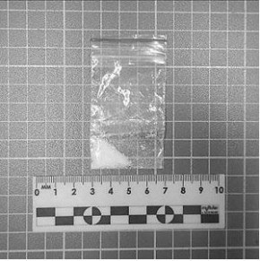 На Камчатке полицейские задержали мужчину при изъятии запрещённых веществ из тайника