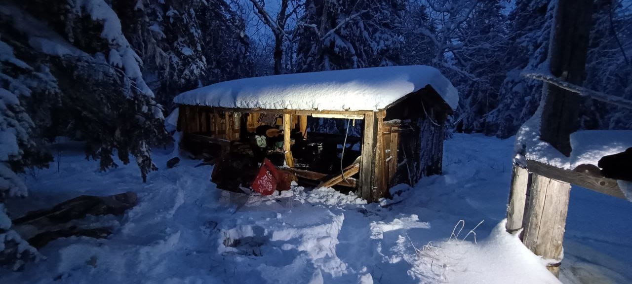 Разбросанные вещи и изувеченная мебель — так выглядит разгромленная медведем избушка мужчины, которого с середины ноября ищут на Камчатке Разбросанные вещи и изувеченная мебель — так выглядит разгромленная медведем избушка мужчины, которого с середины ноября ищут на Камчатке