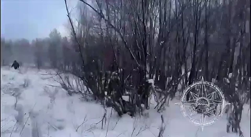 В поисках мужчины в Быстринском округе обследованно 42600 га