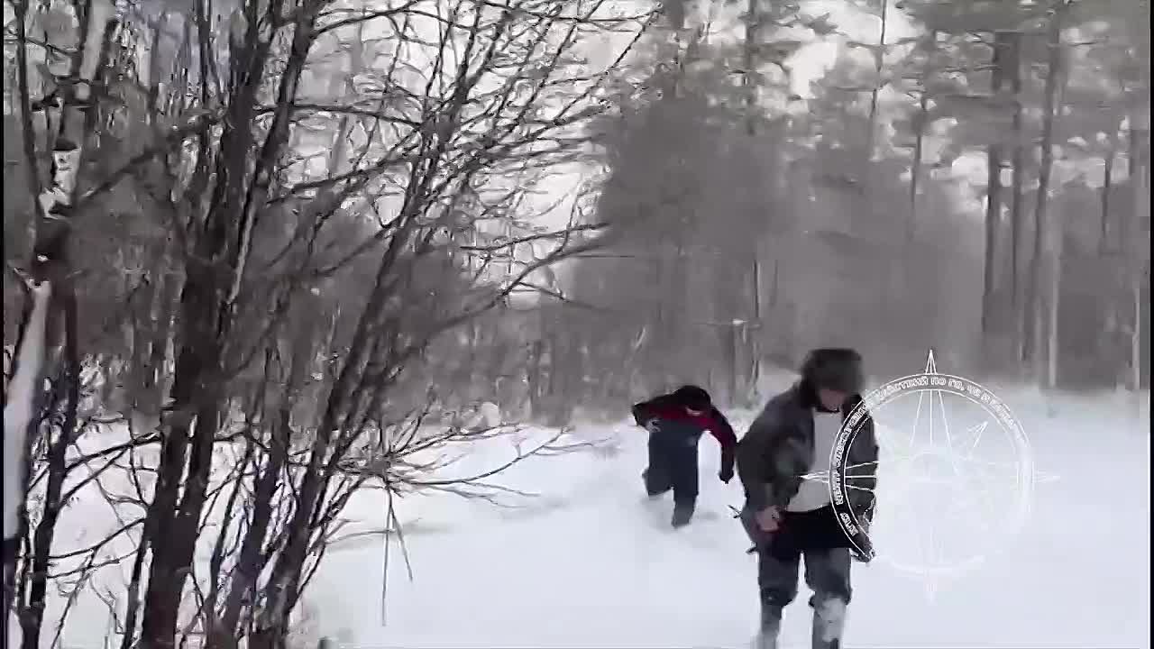 Разбросанные вещи и изувеченная мебель — так выглядит разгромленная медведем избушка мужчины, которого с середины ноября ищут на Камчатке