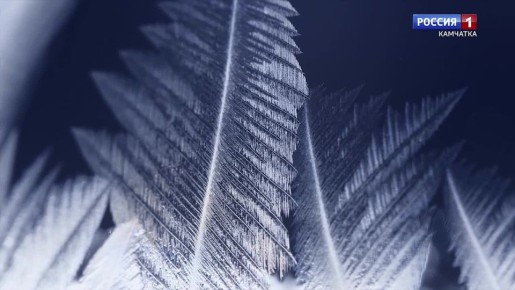 Какая камчатцев ждет погода завтра, в субботу, 13 декабря?